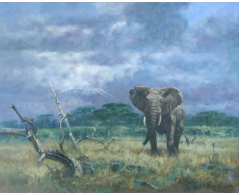 § John Trickett (British, b. 1953) Bull elephant with Kilimanjaro in the distance; together with a hand-signed copy of John T
