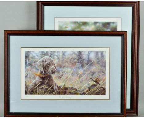 PAUL DOYLE (BRITISH 1964), two limited edition prints, 28/500, 'The Age of Discovery' a puppy looking at a snail, signed in p