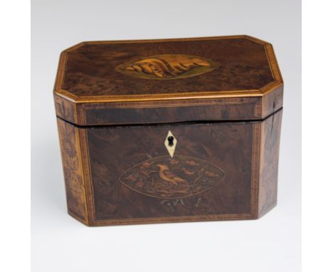 An early 19th century amboyna, crossbanded inlaid and strung tea caddy, of canted rectangular form, the hinged conch shell de