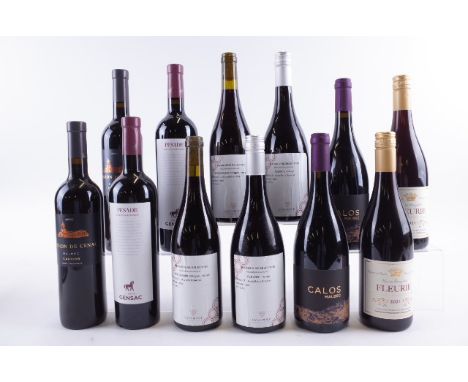 TWELVE BOTTLES FRENCH RED WINEVignobles Saint Didier Parnac 2 x Mission De Cénac 2021 and 2 x Calos Grande Reserve Malbec 202