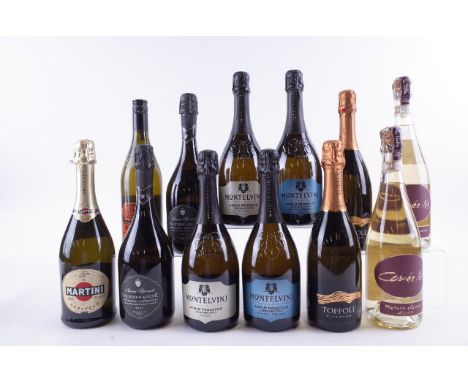 TWELVE BOTTLES PROSECCOMartini + Rossi Extra Dry NV; Tesco Bella Cucina; Anna Spinato 2 x Brut NV; Montelvini 2 x Serenitatis