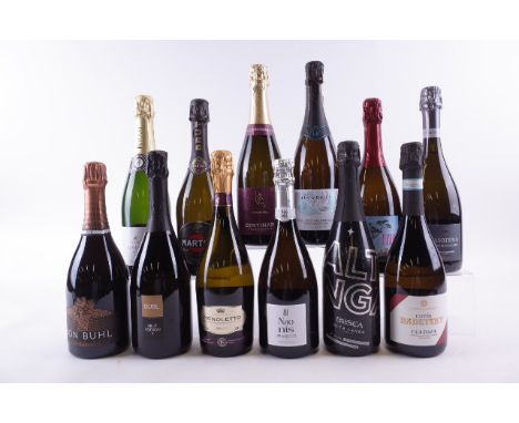 TWELVE BOTTLES SPARKLING WINEBosca Alta Langa Ispiro 2019; Martini + Rossi Martini Brut NV; Dubl Brut Editiion II NV; Naonis 