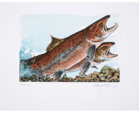 Robinson (Alan James, artist) Atlantic Salmon. Salmo Salar, one of 107 copies, etched and wood-engraved plates and decoration