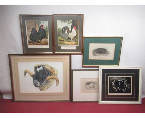 After David Binns (British, Contemporary);  Coloured print of a Ram, signed and dated '85 in pencil, a lino cut after Arthur 