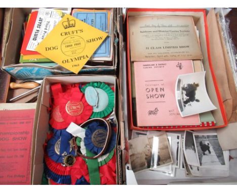 Collection of 1960's Canine ephemera mainly relating to Eshlaude Miniature Poodles incl. Show programmes, prize certificates 