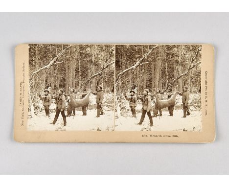 Underwood & Underwood Stereo Cards and Similar Makers,  genre, World War One, cows, farm scenes, traction engine, ships, brid