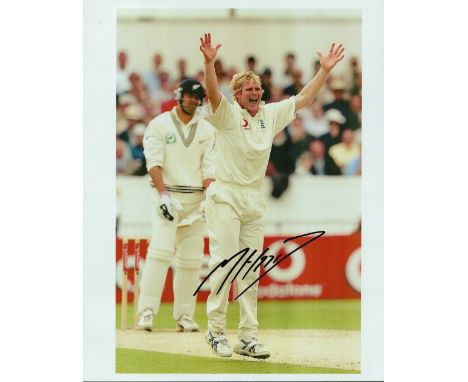 Cricket Mathew Hoggard signed England 10x8 colour photo. Matthew James Hoggard, MBE (born 31 December 1976) is a former Engli
