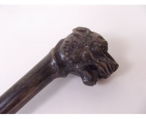 A 19th century carved horn walking stick with lions head handle 