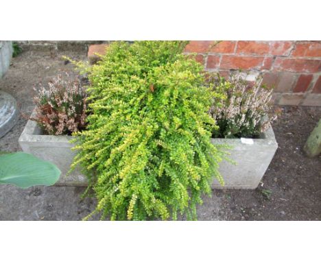 A reconstituted stone garden planter, cast with Tudor roses