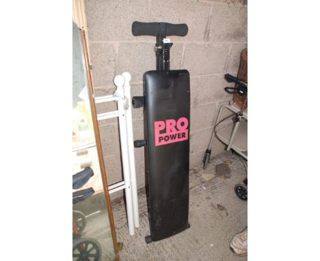 Pro Power weight bench.