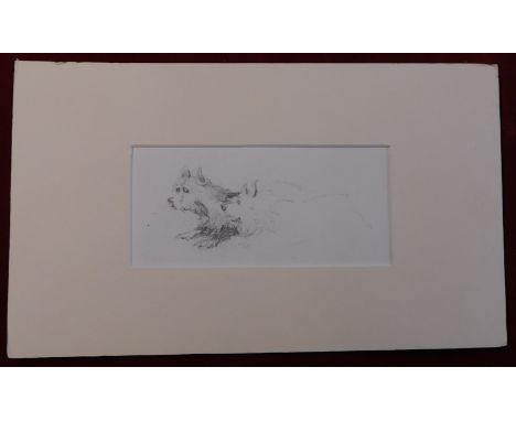 Dogs-A very well observed pencil sketch of two terrier dogs taken from an album of 1861, overall size including the mount is 