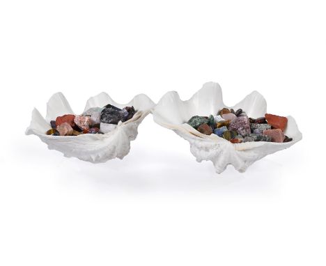 A PAIR OF CLAM SHELLS FILLED WITH A VARIETY OF CRYSTALS with a variety of approximately 93 turned and unturned stones  each a