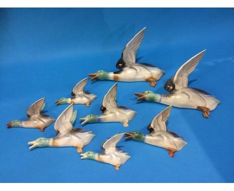 A collection of eight Poole pottery wall mounted ducks