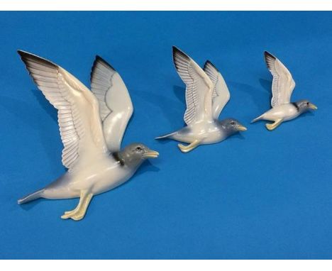 A set of three Poole graduated 'Gulls'