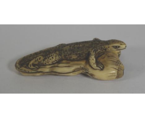Antique Japanese carved lizard netsuke width 6cm approx, signed to base. May not be exported without CITES documentation