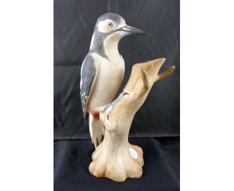 Spode bone china figure of a Greater Spotted Woodpecker, matt glaze. H: 22 cm