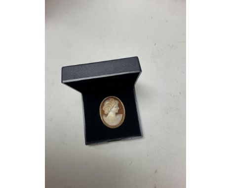 9 carat gold cameo brooch.
