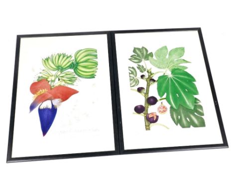 After Bryan Poole. Botanical studies, Black Fig, signed limited edition number 51/100, and Flower And Fruit, signed limited e