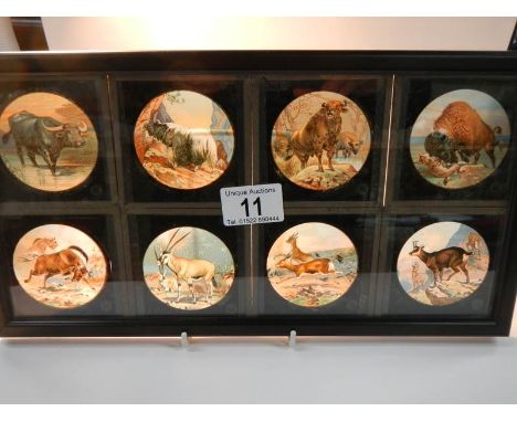 A set of 8 coloured magic lantern slides depicting wild animals No.s 33 - 40, in good condition.