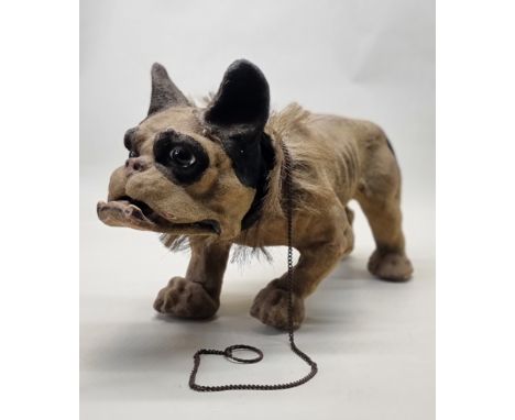 An antique French papier-mache growler bulldog,&nbsp;c.1900, with chain-pull barking mechanism, coconut bristle collar and wo