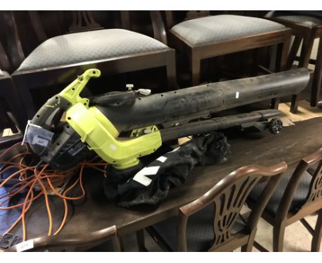 A Ryobi garden vac