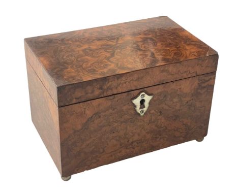 Antique burr two compartment tea caddy on brass bun feet, 20.5cm across.