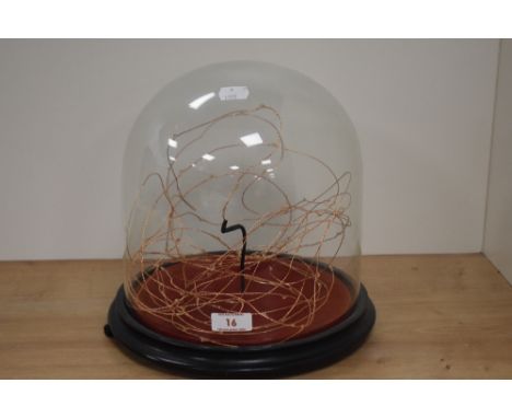 A contemporary fairy light arrangement under Victorian glass dome, measuring 27cm tall
