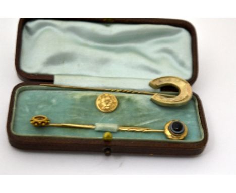 A SMALL COLLECTION OF ITEMS, to include a Sardanyx stick pin, together with two others and a button, in boxed case