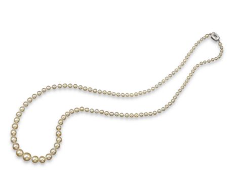 A single row natural saltwater pearl necklace, the pearls graduate from 2.5 to 7.2mm. The platinum clasp mounted with a cushi