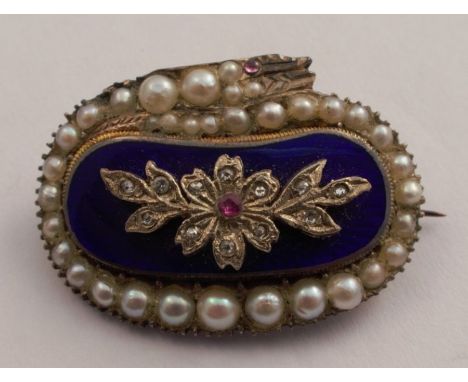 A 19th century blue enamel, half pearl, diamond and gem set panel brooch, modelled as a serpent enclosing a foliate spray, wi