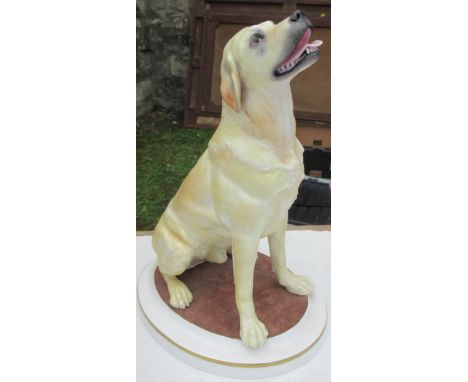 A limited edition Royal Worcester model, Yellow Labrador, modelled by Ken Potts -&nbsp;Good condition