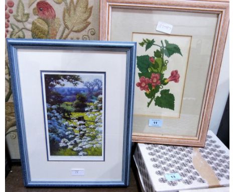 A botanical print and a signed print of Cow parsley after Andrea Bates