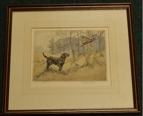 After Henry Wilkinson.  Labrador spooking a pheasant, artist signed limited edition coloured etching, number 69/250, 19cm x 2