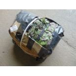 Ex Reserve Unissued Large 9m x 9m Original Camouflaged Woodland Netting