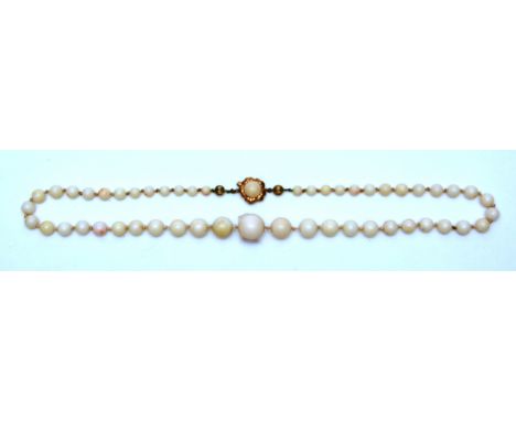 A string of Chinese white jade beads, with 14ct gold clasp, 27.5cm long