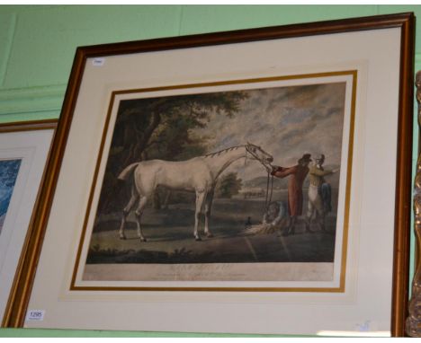 After Sartorius 'Grey Diomed' aquatint engraved by R. Dodd, handcoloured, framed and glazed, published in 1792 by Robert Poll