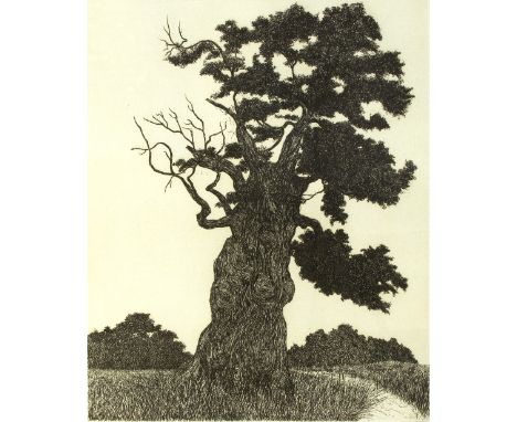 Francis Robert Kelly (American 1927-2012)/Old Oak Tree/signed/limited edition 13/50/etching, 48.5cm x 39cm