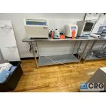 Stainless Steel Work Table