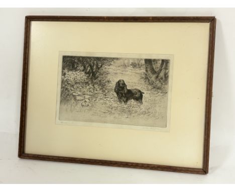 Jackson Simpson (Scottish 1893-1963), "Spaniel", etching, signed and titled bellow, artist label verso, in a glazed wooden fr