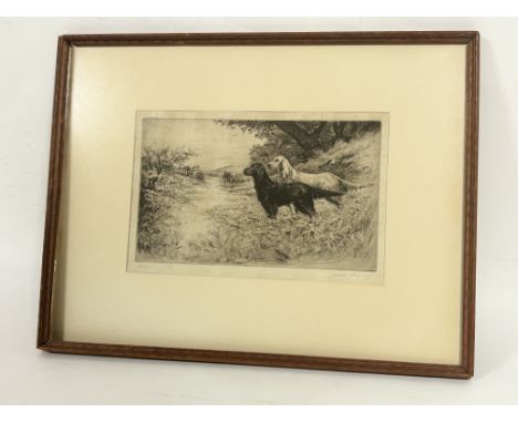 Jackson Simpson (Scottish 1893-1963), "Setters", etching, signed and titled bellow, artist label verso, in a wooden glazed fr