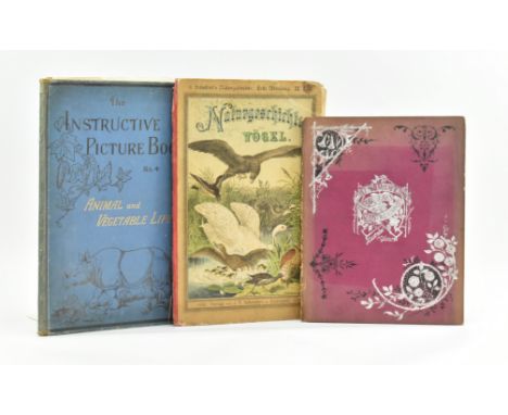 Children's illustrated. Three 19th century instructive illustrated works, illustrated with colour plates. Comprising c1880 Th