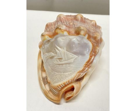 A vintage Conch shell with carved ship.
