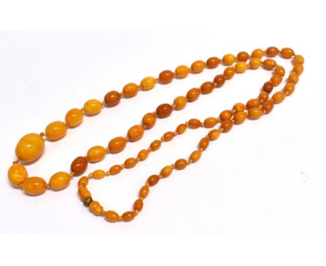 1920's AMBER NECKLACE Comprised of 71 graduated Amber beads of butterscotch/cognac shades, strung knotted with the principal 