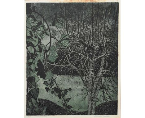 ‡ Richard Bawden RWS NEAC RE (born 1936)Cold Morning,aquatint on paper, framedsigned Richard Bawden, titled and numbered 3/75