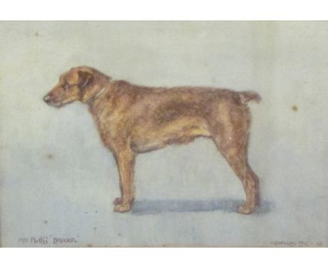 R DOUGLAS FRY, SIGNED AND DATED '98 WATERCOLOUR, INSCRIBED Mrs Firth's Badger (Dog Study), 7" x 9 1/2" 