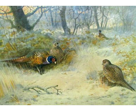 ARCHIBALD THORBURN, SIGNED IN PENCIL TO MARGIN, COLOURED PRINT, "Pheasant in Woodland", 14" x 20"