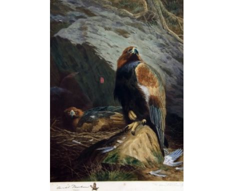 ARCHIBALD THORBURN & T HAMILTON CRAWFORD, SIGNED BY BOTH IN PENCIL TO MARGIN, COLOURED PRINT, Golden Eagle, 18" x 13"