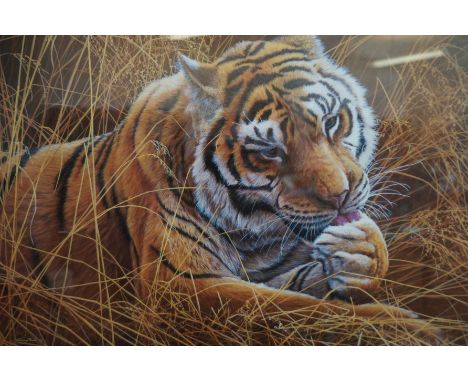 Limited edition framed print moment of calm signed Jeremy Paul