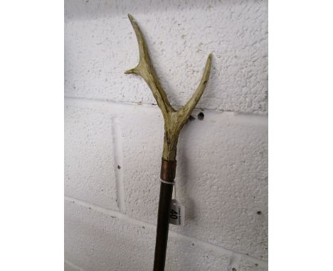 A horn handled walking stick