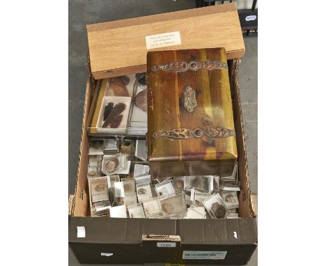 An extensive collection of individually cased fossil and mineral specimens, Neolithic and Mesolithic flints and reproduction 